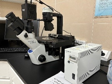 倒置荧光显微镜CKX53.jpg